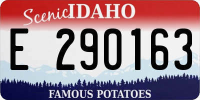 ID license plate E290163