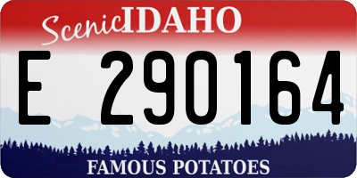 ID license plate E290164