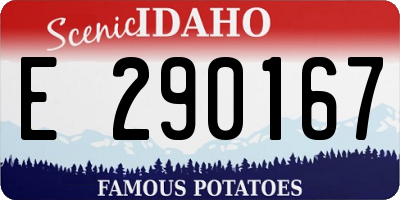ID license plate E290167