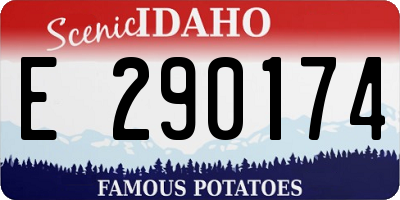 ID license plate E290174