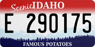 ID license plate E290175