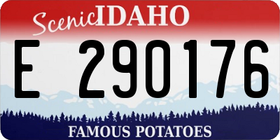 ID license plate E290176