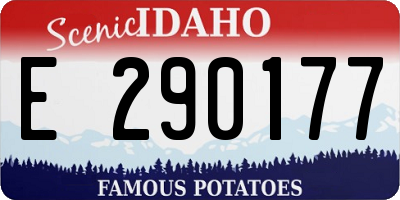 ID license plate E290177