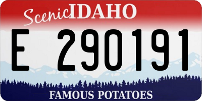 ID license plate E290191