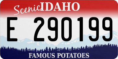 ID license plate E290199