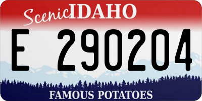 ID license plate E290204