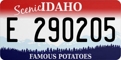 ID license plate E290205