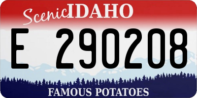 ID license plate E290208