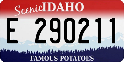 ID license plate E290211