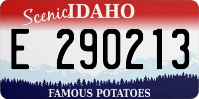 ID license plate E290213