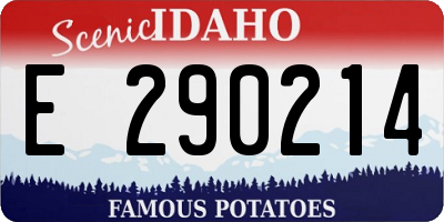 ID license plate E290214