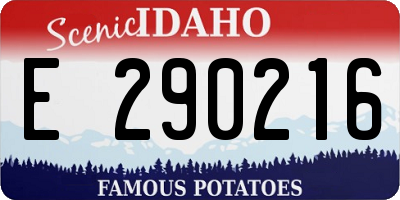 ID license plate E290216
