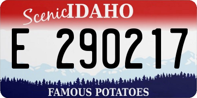 ID license plate E290217
