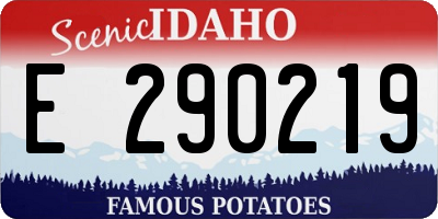 ID license plate E290219