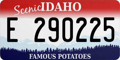 ID license plate E290225