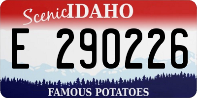 ID license plate E290226