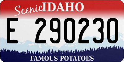 ID license plate E290230