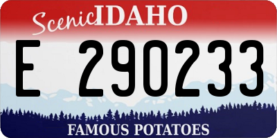 ID license plate E290233
