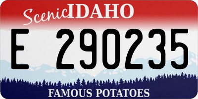 ID license plate E290235