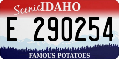 ID license plate E290254