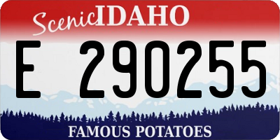 ID license plate E290255