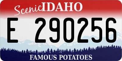 ID license plate E290256