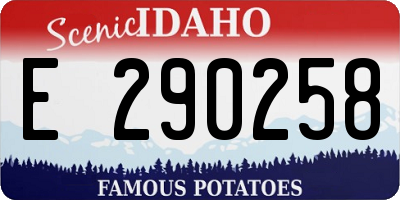 ID license plate E290258