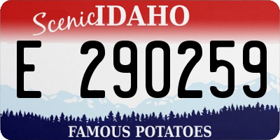 ID license plate E290259