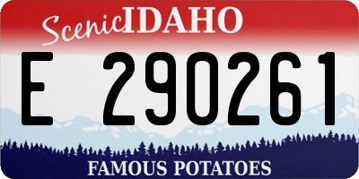 ID license plate E290261