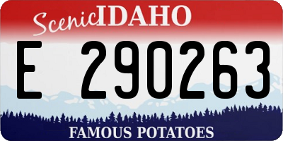 ID license plate E290263