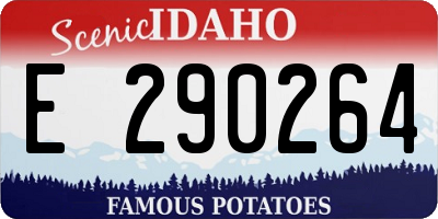 ID license plate E290264