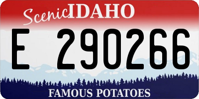 ID license plate E290266