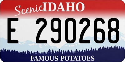 ID license plate E290268
