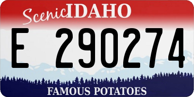 ID license plate E290274
