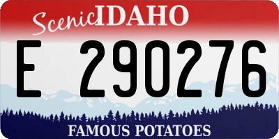 ID license plate E290276