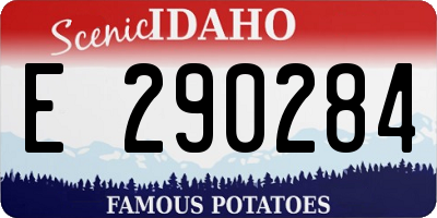 ID license plate E290284