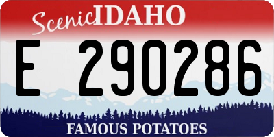 ID license plate E290286