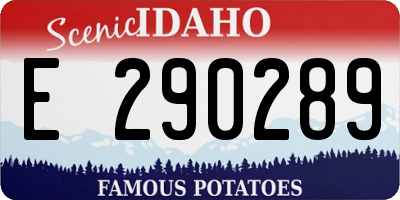 ID license plate E290289