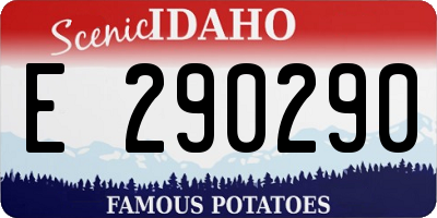 ID license plate E290290