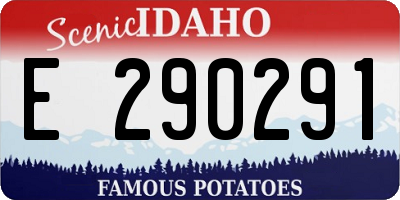ID license plate E290291
