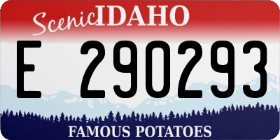 ID license plate E290293