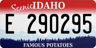 ID license plate E290295