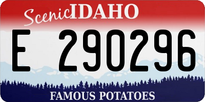 ID license plate E290296