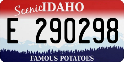 ID license plate E290298