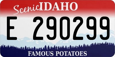 ID license plate E290299