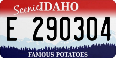 ID license plate E290304