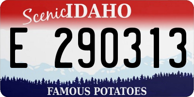 ID license plate E290313