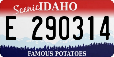 ID license plate E290314