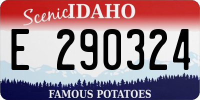 ID license plate E290324
