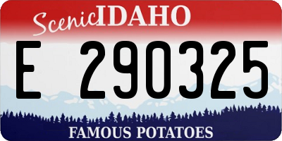 ID license plate E290325